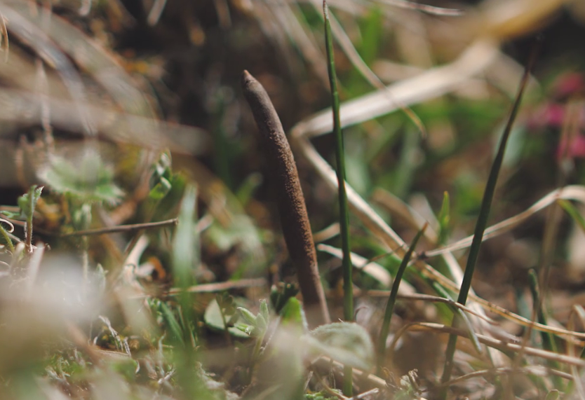 微信截圖_20210402140213.png 微信截圖_20210402140213.png