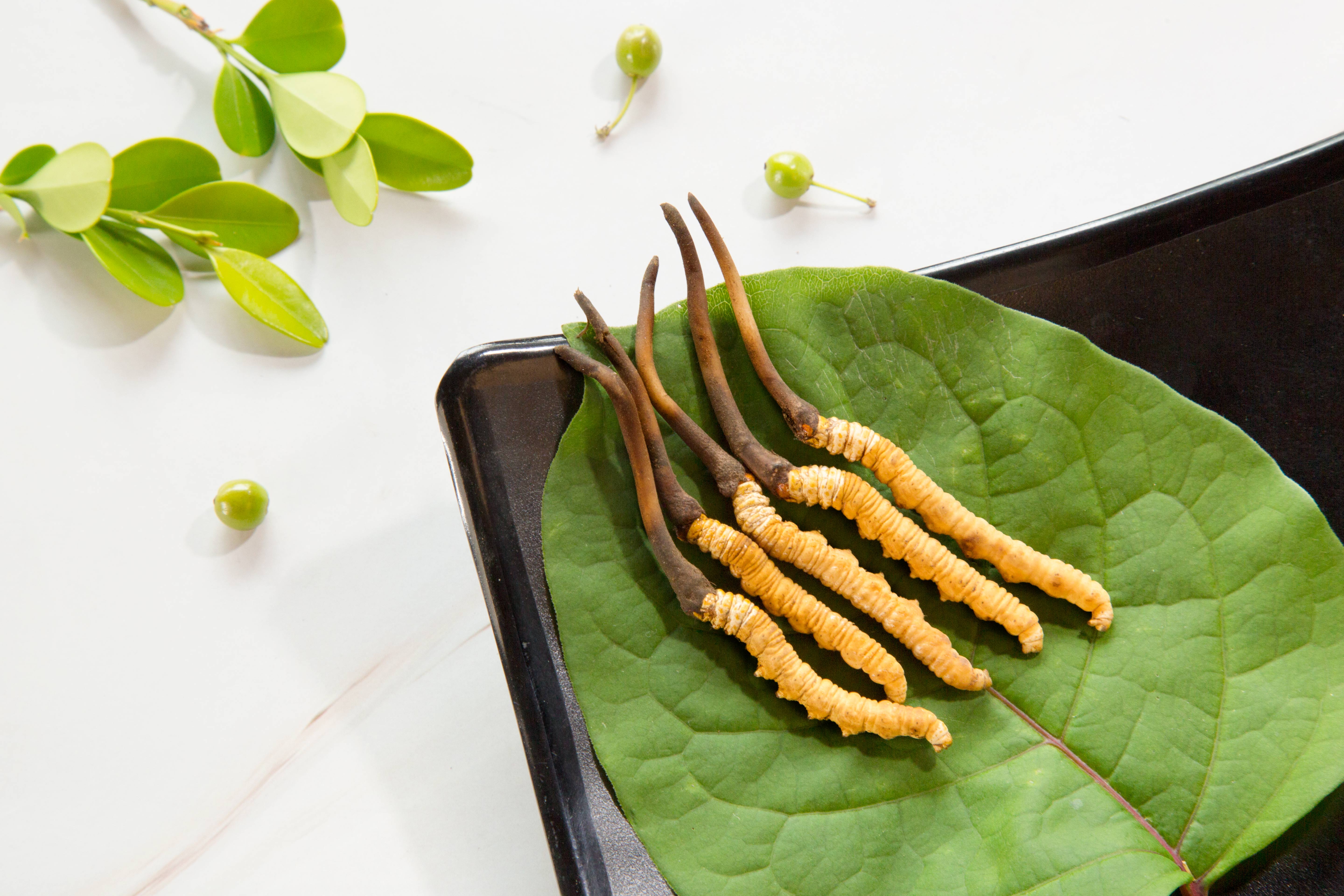 微信圖片_202103301555051.jpg 微信圖片_202103301555051.jpg