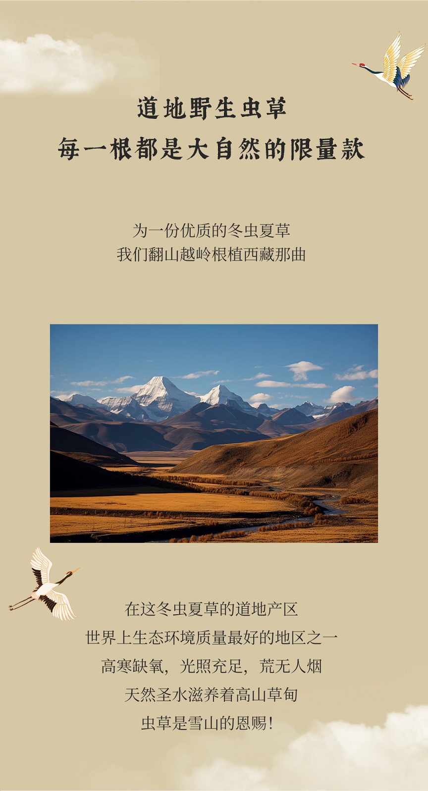 冬蟲夏草公眾號(hào)_03.jpg