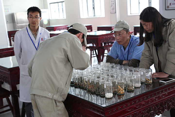 五月的掌聲 ——天靈中藥第二屆認藥大賽(圖3) 五月的掌聲 ——天靈中藥第二屆認藥大賽(圖3)