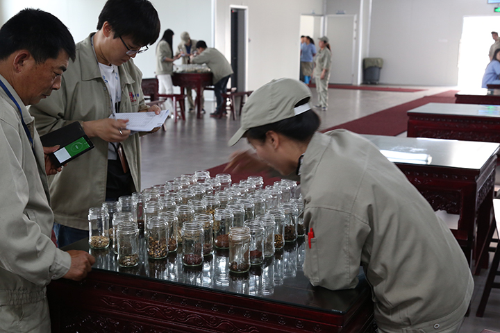 五月的掌聲 ——天靈中藥第二屆認藥大賽(圖4) 五月的掌聲 ——天靈中藥第二屆認藥大賽(圖4)