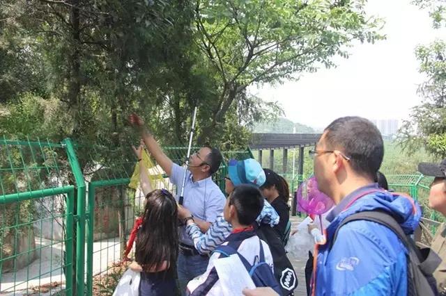 走進李良濟,尋藥樹山中(圖2) 走進李良濟,尋藥樹山中(圖2)