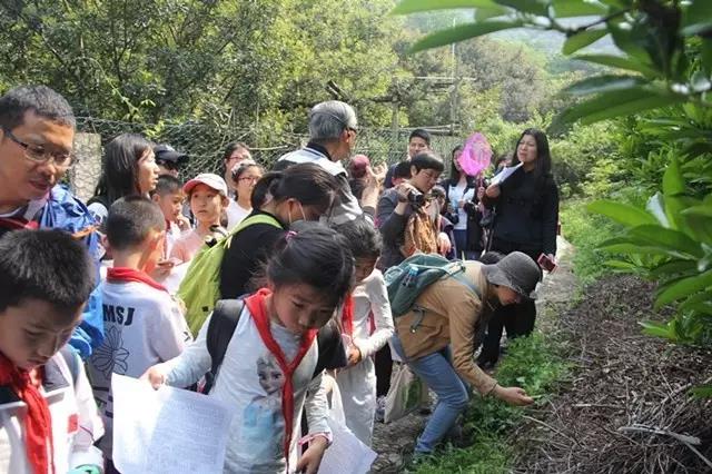 走進李良濟,尋藥樹山中(圖3) 走進李良濟,尋藥樹山中(圖3)